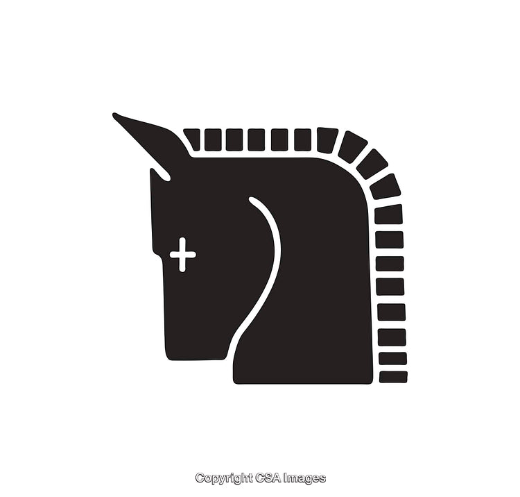 Minimalist Black and White Horse Icon with Dark Silhouette Design