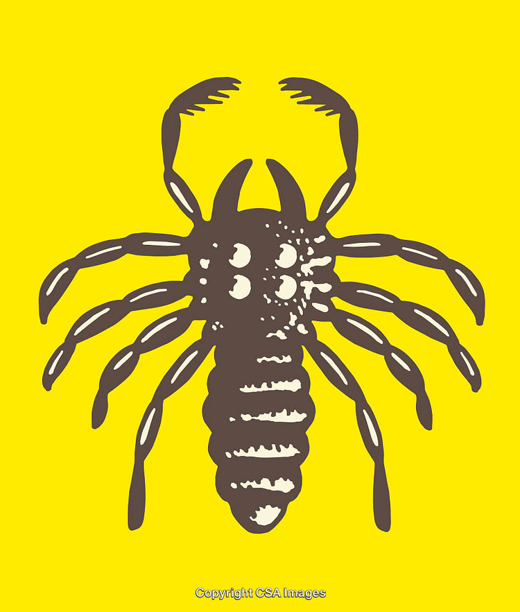 Illustration of Stylized Scorpion on Bold Yellow Background
