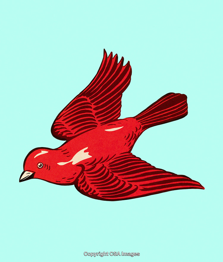 Vivid Illustration of a Red Bird in Flight on Blue Background