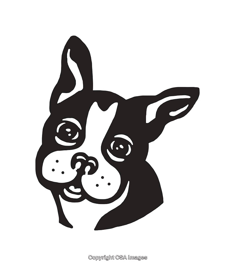 Black and White Line Art Illustration of a Cute Dog's Face
