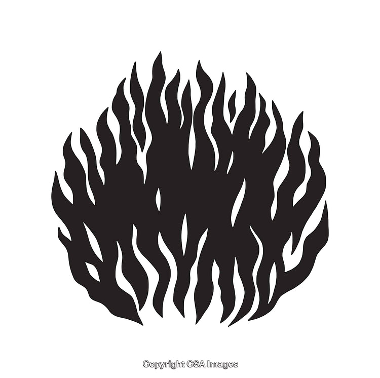 Intricate Black and White Abstract Illustration with Organic Flames Design