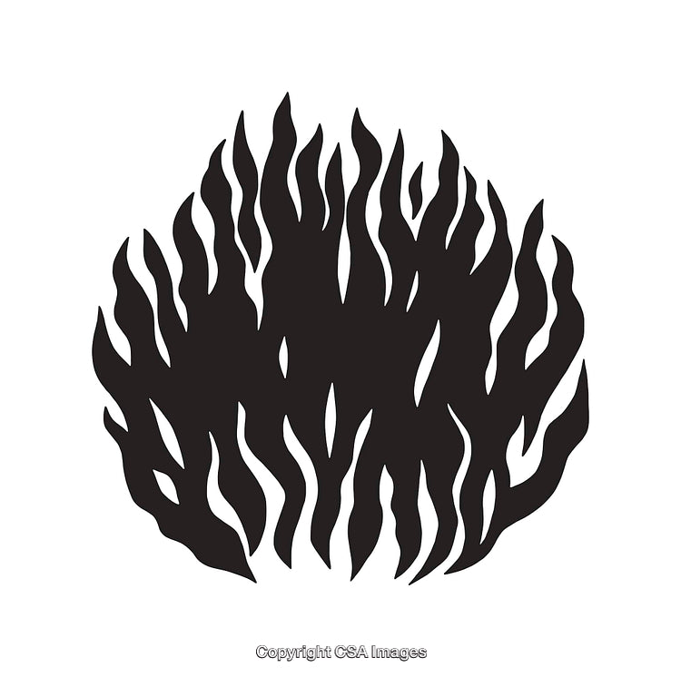 Intricate Black and White Abstract Illustration with Organic Flames Design