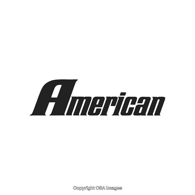 Stylized Typography Displaying the Word American in Bold Black Font