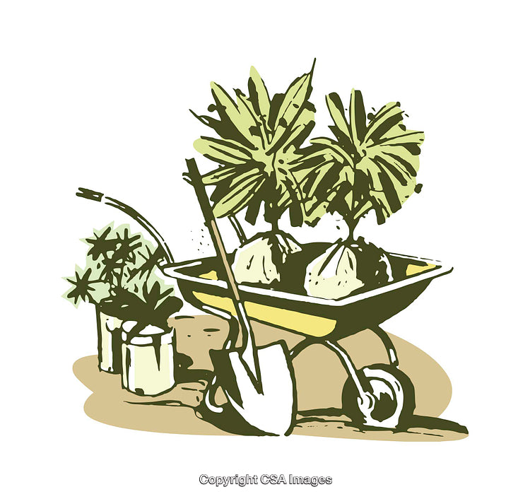 Vibrant Garden Illustration Featuring Plants, Tools, and Wheelbarrow