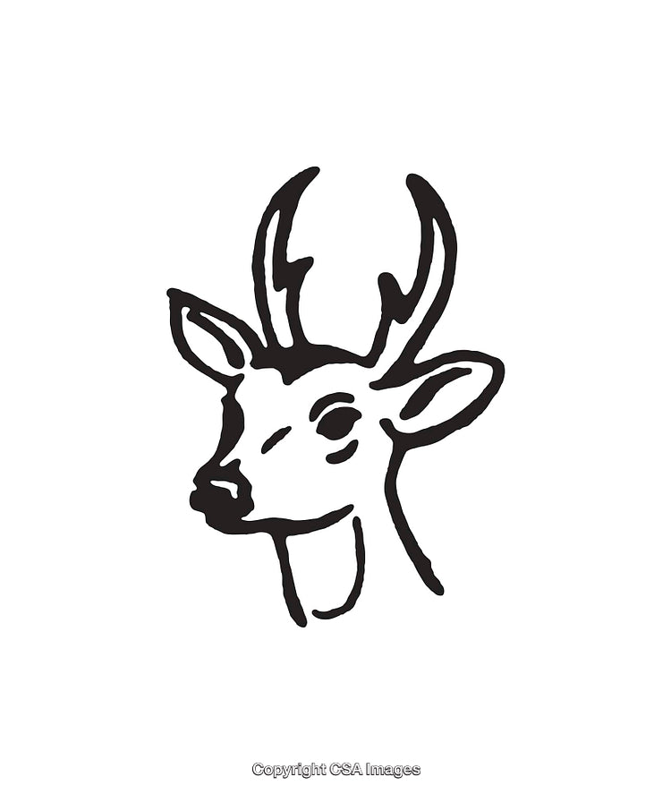 Hand-Drawn Black-and-White Deer Illustration with Stylish Antlers