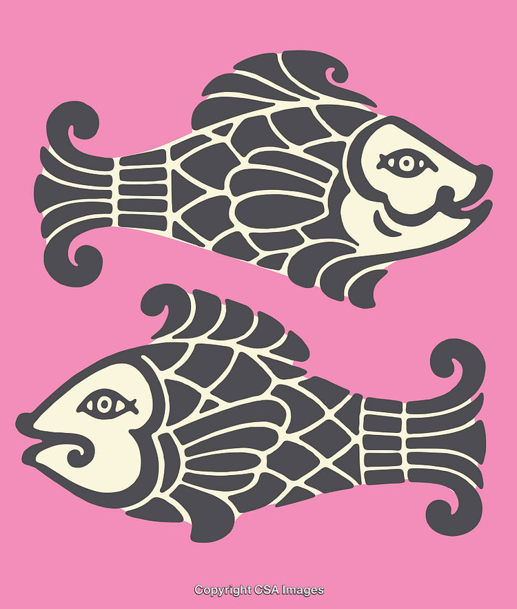 Decorative Fish Illustration with Symmetrical Design and Vibrant Pink Background