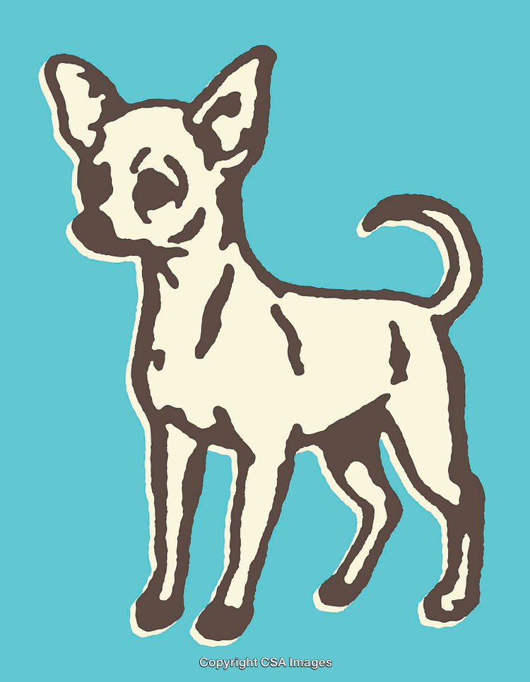Colorful Illustration of a Small Dog on a Blue Background