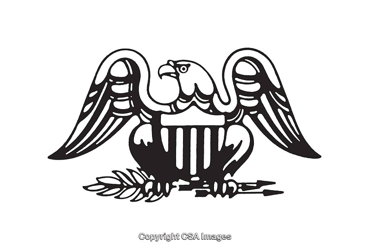 American Eagle Line Art Illustration with Olive Branch and Shield