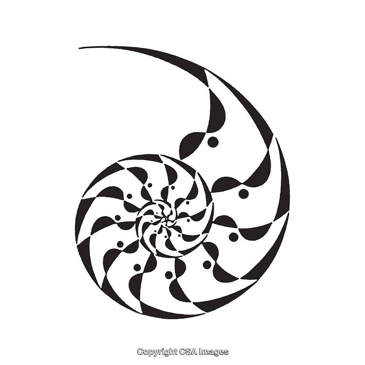 Abstract Black and White Nautilus Spiral Design