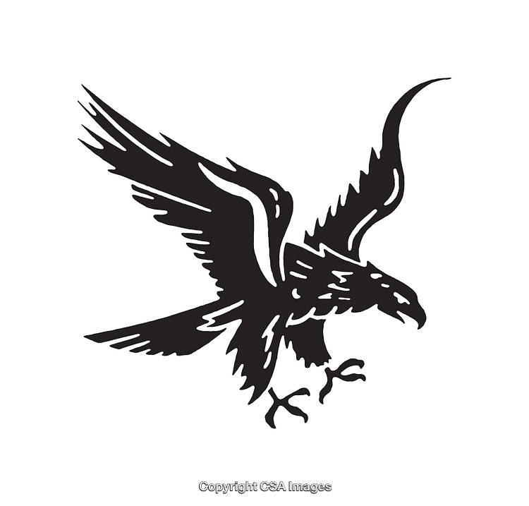 Black and White Line Art of an Eagle in Flight