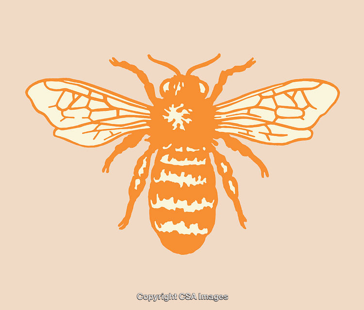 Illustration of a Bee in Monochromatic Orange on Neutral Background