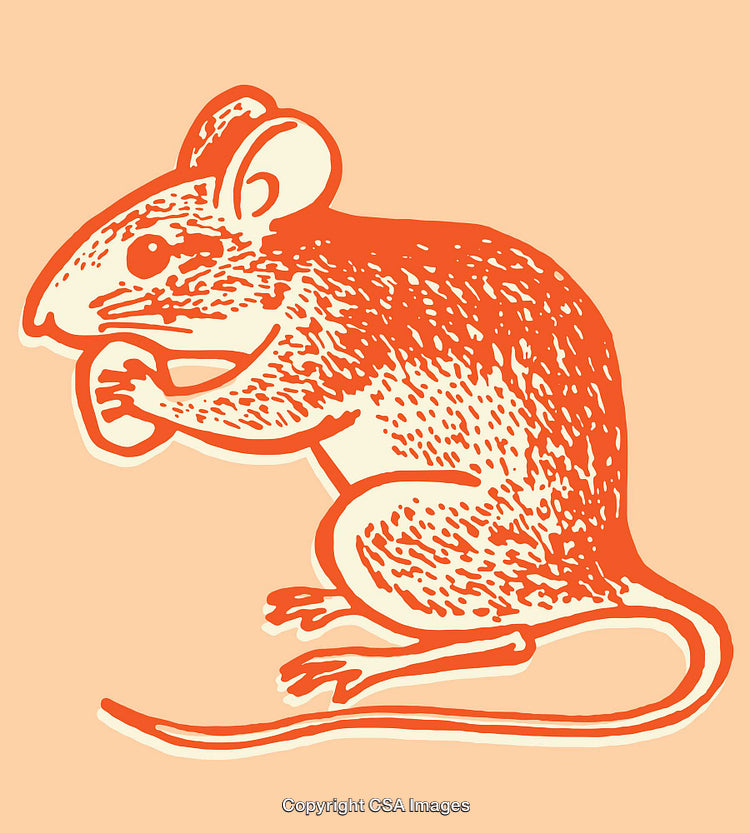 Color Line Art Illustration of a Mouse on a Solid Background