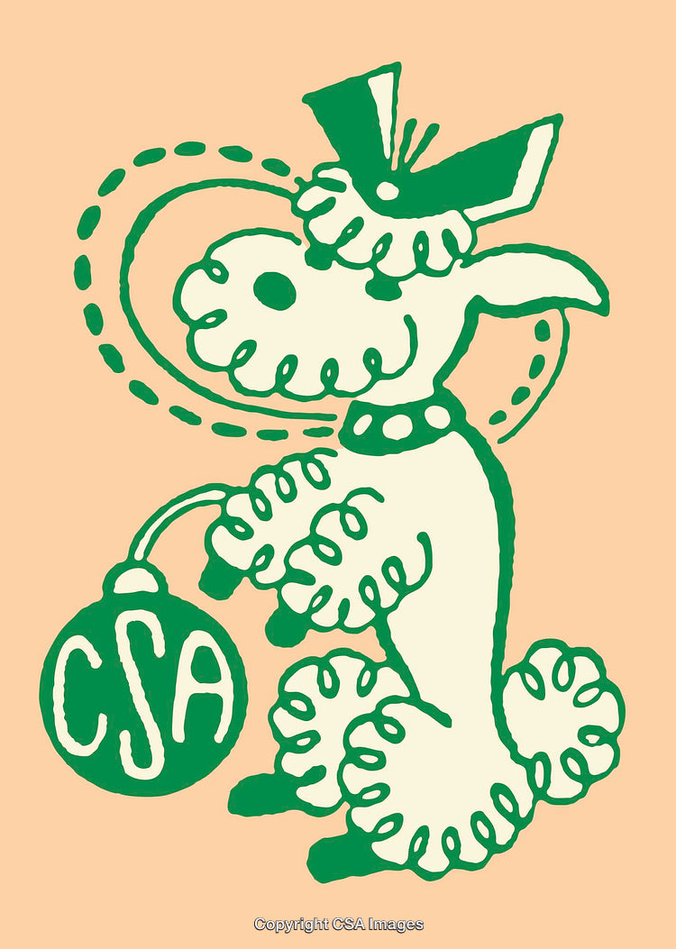 Retro Styled Dog Illustration Featuring Whimsical Green Details and CSA Label