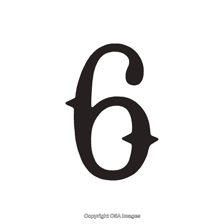 Vintage Style Numeral Six with Ornamental Design on White Background