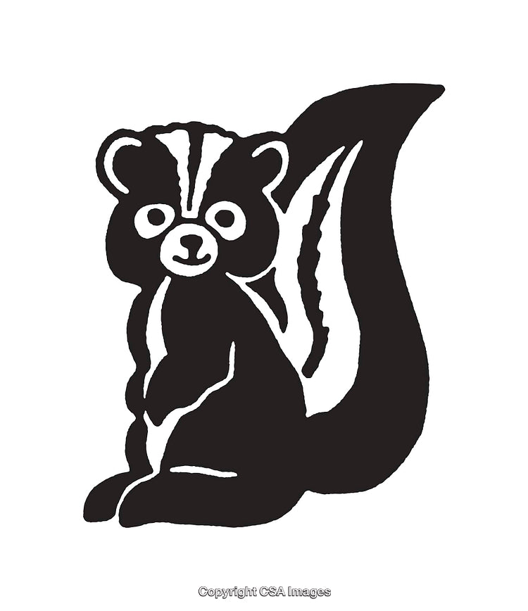 Black And White Line Art Illustration of a Sitting Cute Skunk