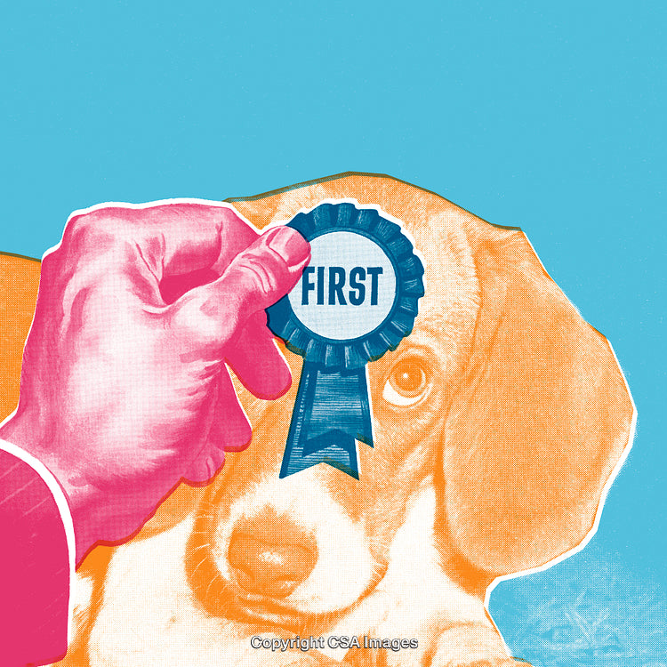 Award Winning Puppy Receiving First Place Ribbon in Vibrant Pop Art Style