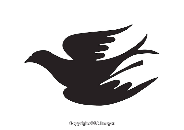 Elegant Silhouette of a Dove in Flight on White Background