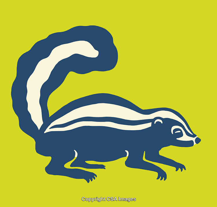 Colorful Line Art Illustration of a Stylized Skunk in Bold Design