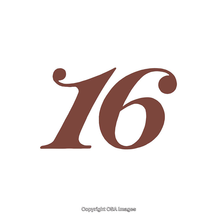 Elegant Display of the Number Sixteen in Classic Serif Font