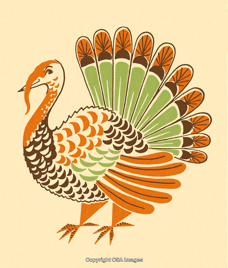 Illustration of a Turkey with Colorful Feather Design on a Light Background
