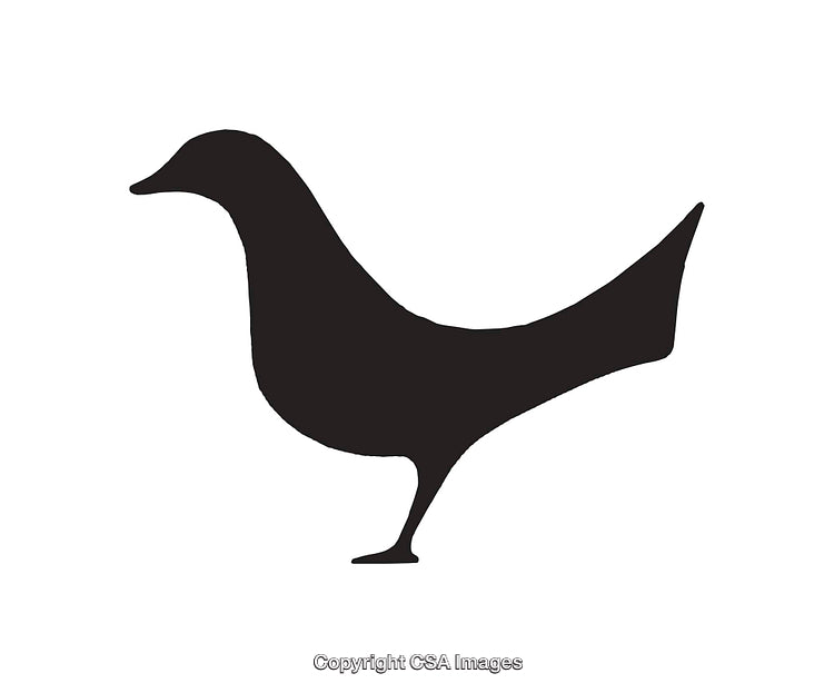 Black Silhouette Illustration of a Bird in Minimalist Style