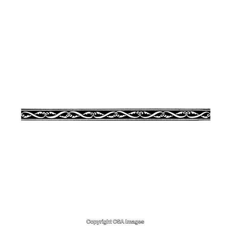 Elegant Black And White Decorative Border Design With Floral Motif