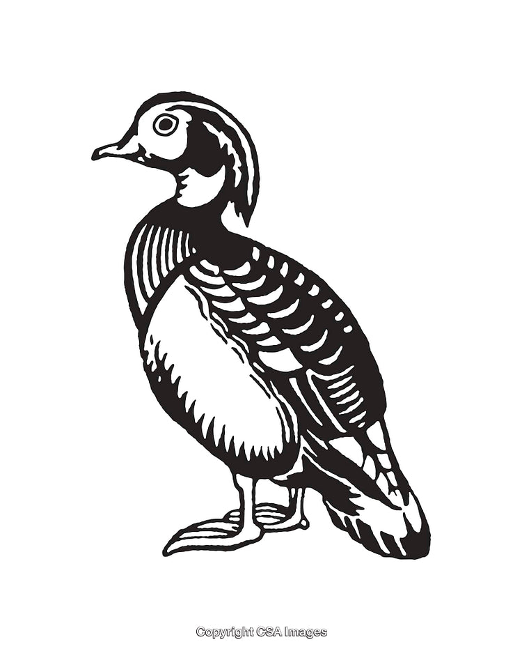 Black and White Illustrated Duck with Intricate Line Details
