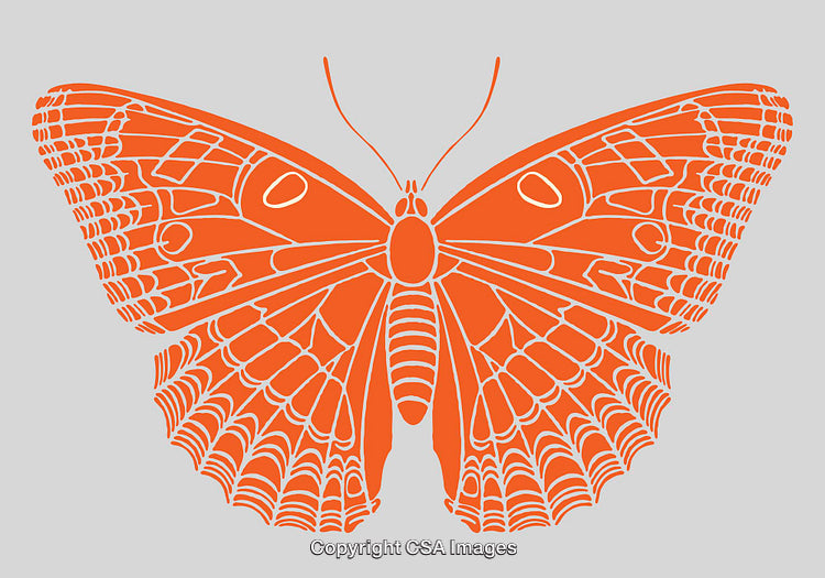 Detailed Orange Butterfly Illustration in Minimalist Line Art Style