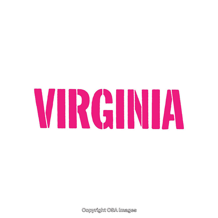 Pink Virginia Text Graphic Design with Simple Modern Style