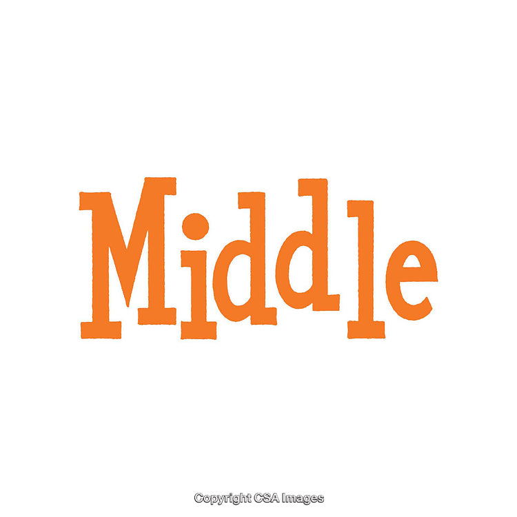 Orange 'Middle' Text on a Clean White Background