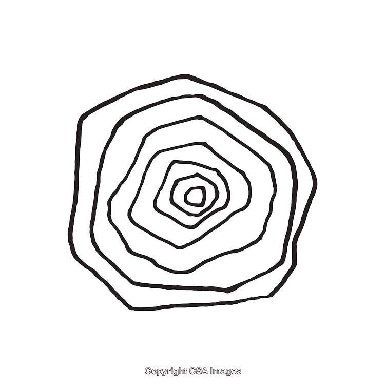 Abstract Black and White Line Art of Concentric Circular Layers