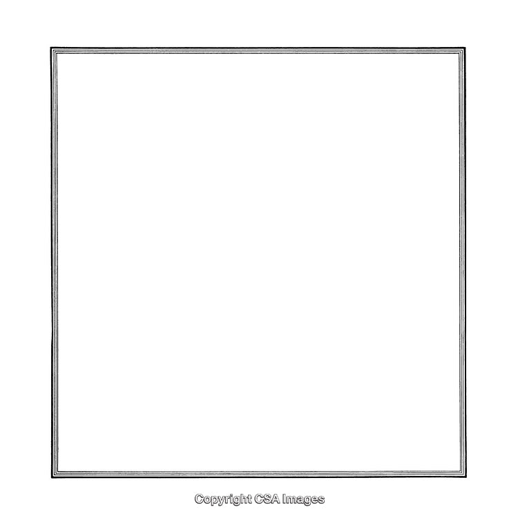 Elegant Thin Black and White Border for Professional Applications