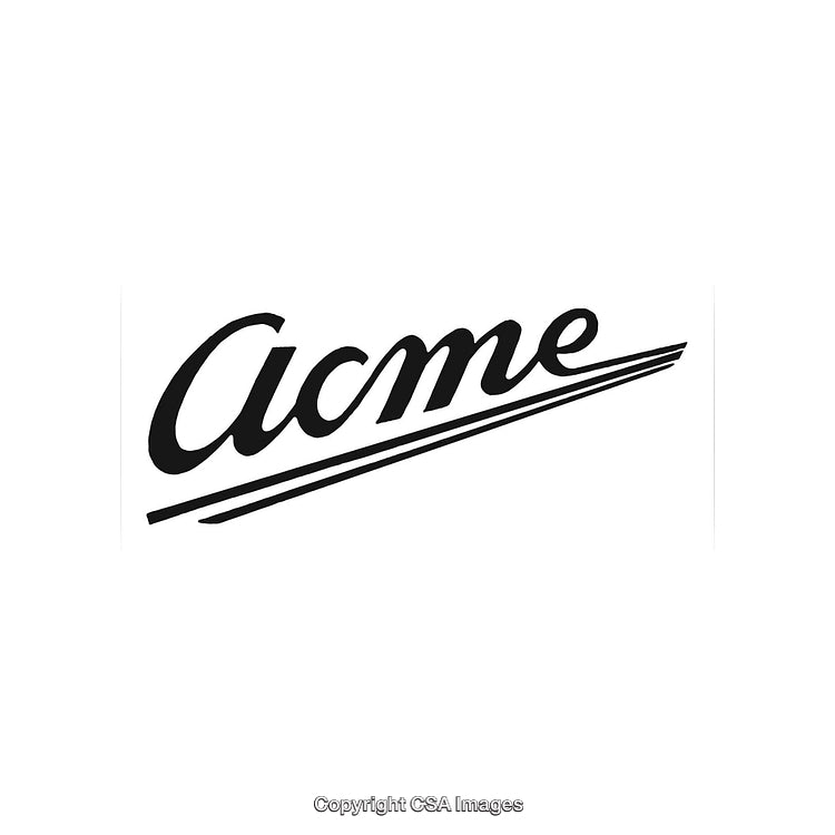 Stylized Wordmark Design Featuring Classic Retro Typography and Streamlined Accents