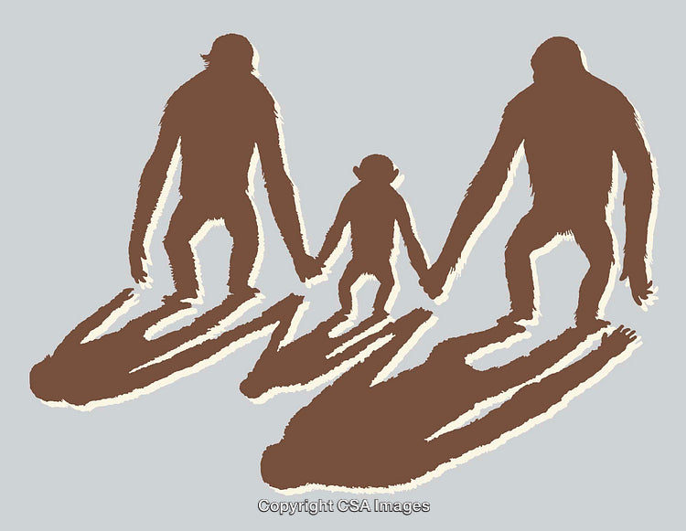 Silhouette of Primate Family Holding Hands with Abstract Shadows