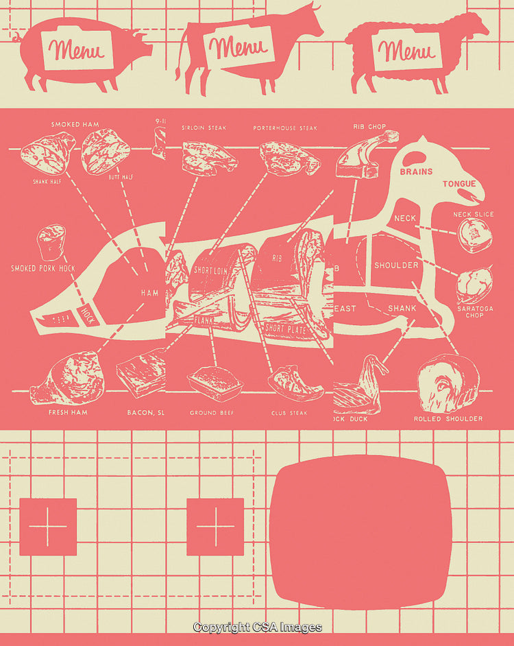 Vintage Meat Chart Illustration Featuring Cuts from Pork, Beef, and Lamb