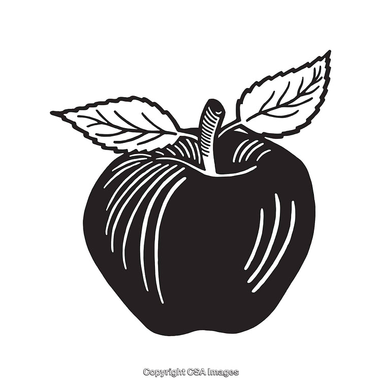Black and White Line Art of a Detailed Apple Illustration