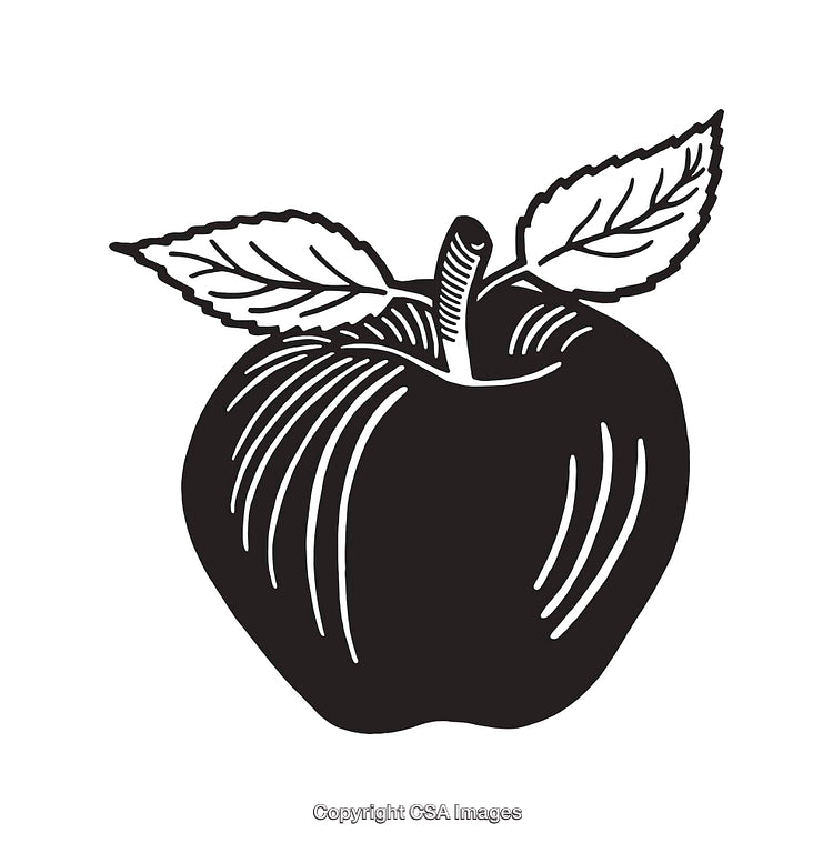 Black and White Line Art of a Detailed Apple Illustration