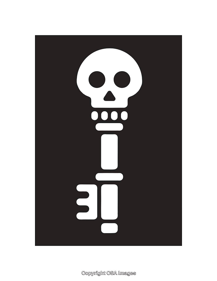 Black and White Illustration Featuring Skull-Shaped Key Design