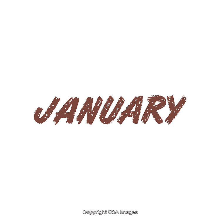 Bold Rustic Text Display of the Word January on White Background