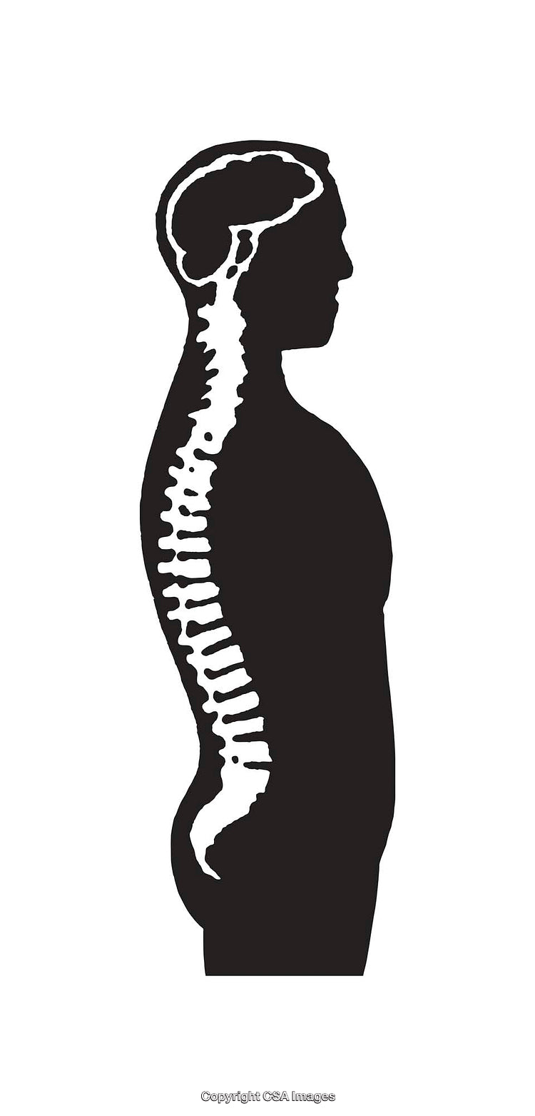 Silhouette of a Human Figure Highlighting Brain and Spine Anatomy
