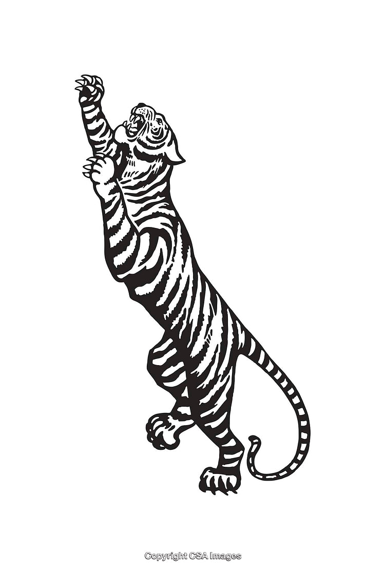 Black and White Line Art Illustration of a Leaping Tiger