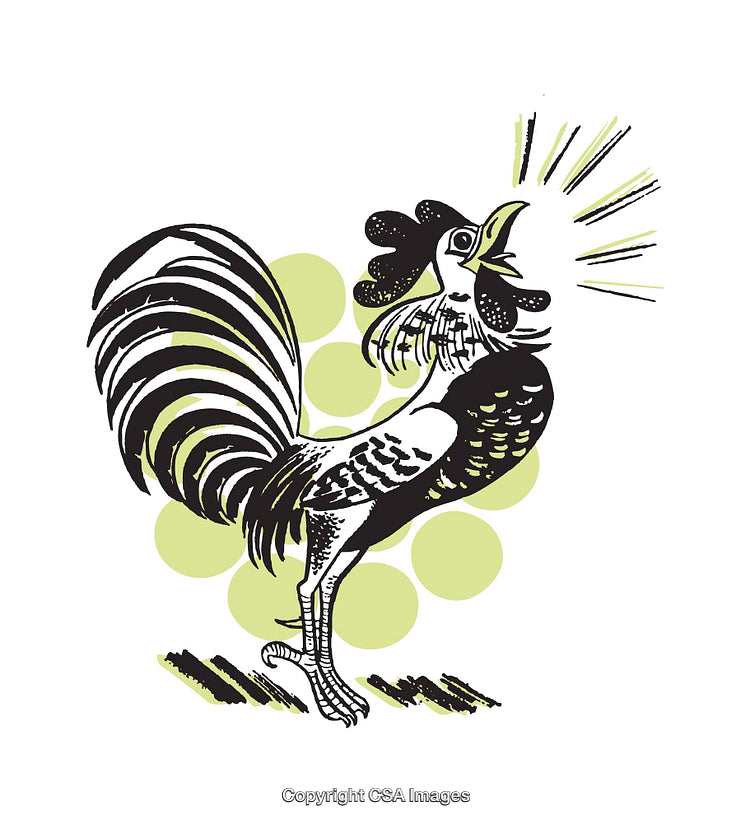 Retro Illustration of a Crowing Rooster with Vibrant Graphic Art Elements