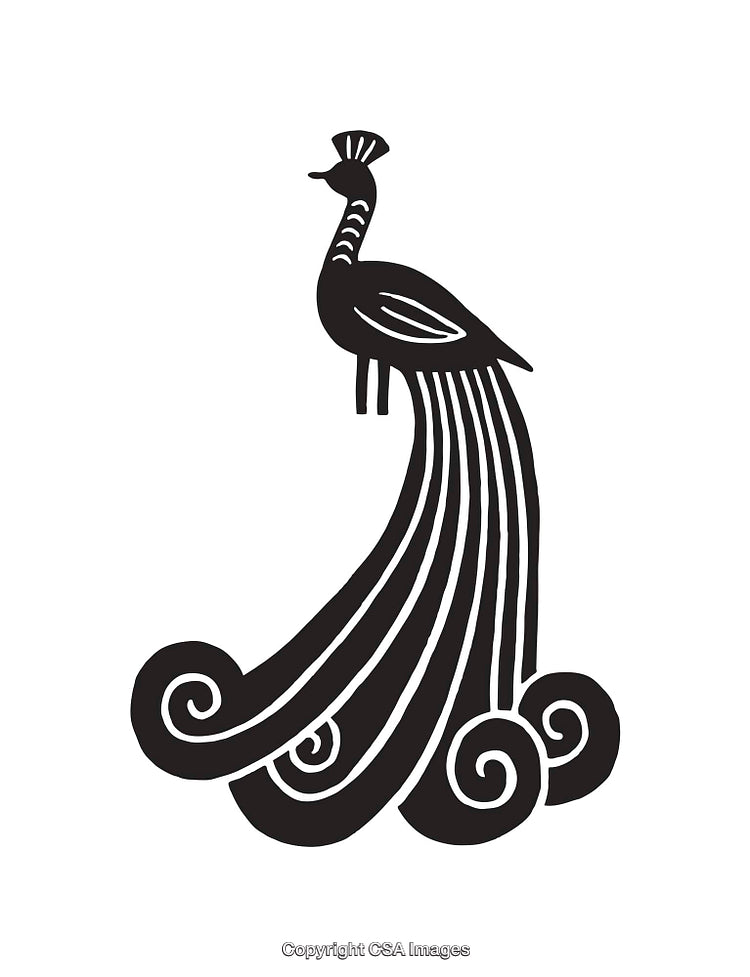 Black and White Line Art Illustration of a Peacock with Flowing Feathers