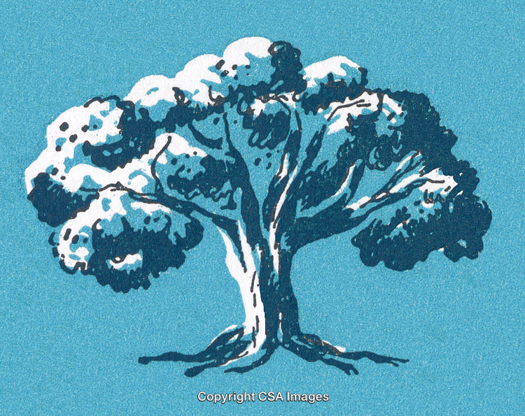 Hand Drawn Tree Illustration with Textured Blue Background