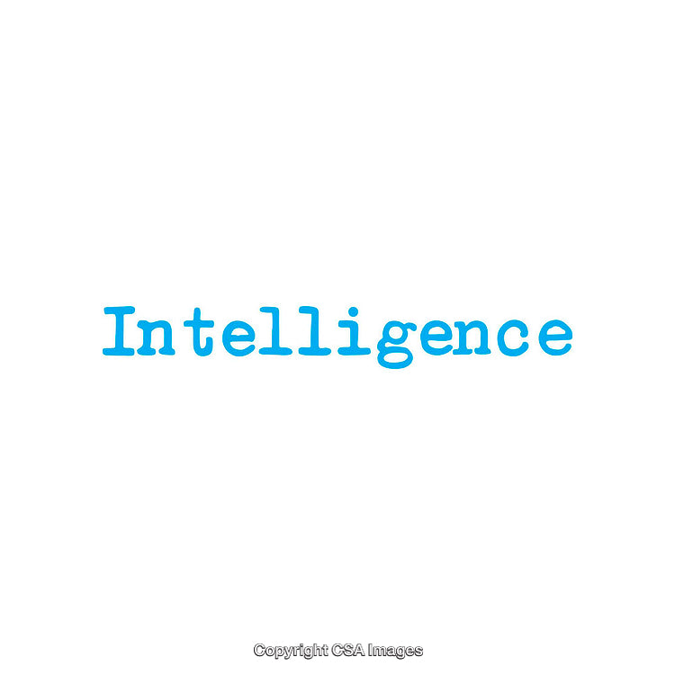 Word Intelligence Displayed in Blue Text on a Solid White Background