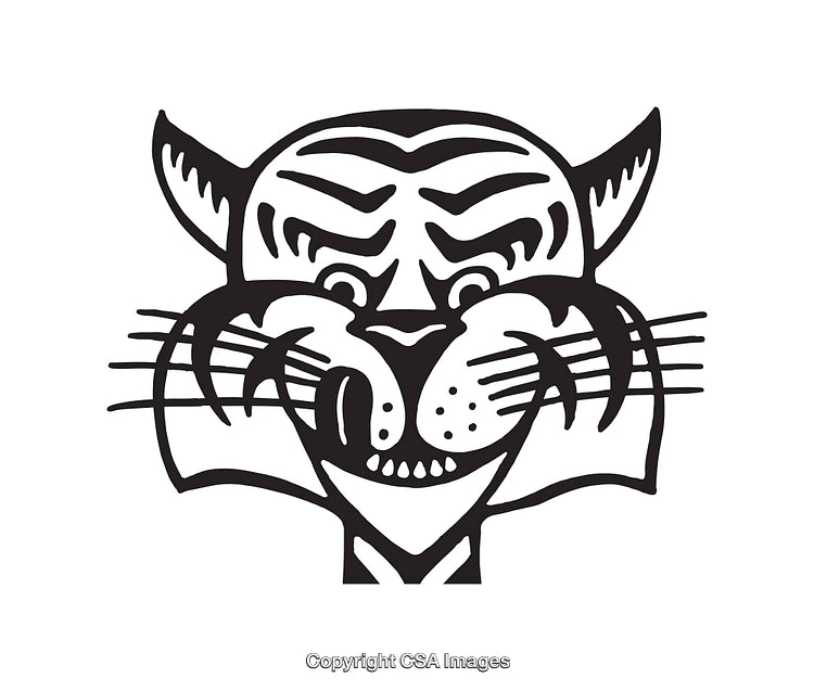 Black and White Line Art of a Fierce Tiger Face with Bold Lines