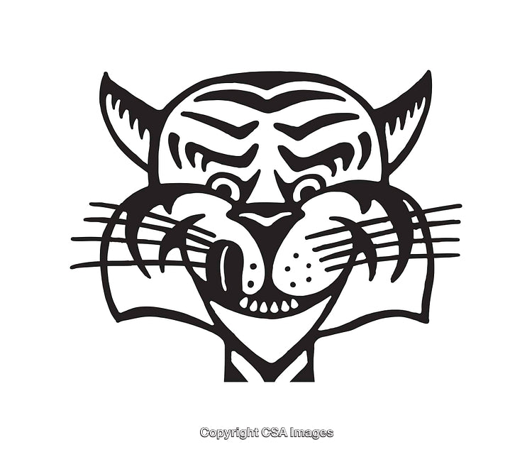 Black and White Line Art of a Fierce Tiger Face with Bold Lines
