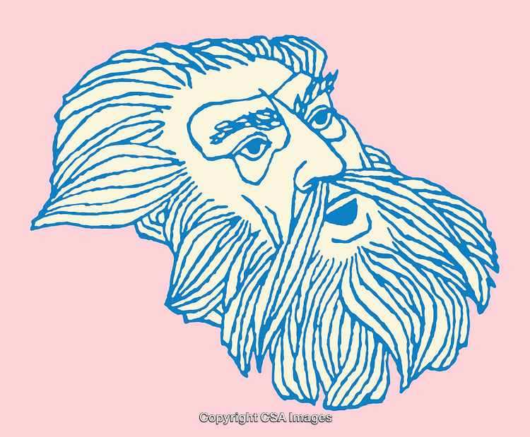 Vintage Style Line Art Illustration of Bearded Male Face
