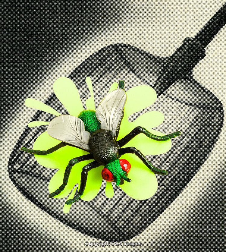 Close-Up of a Toy Fly on a Swatter with Vibrant Colors