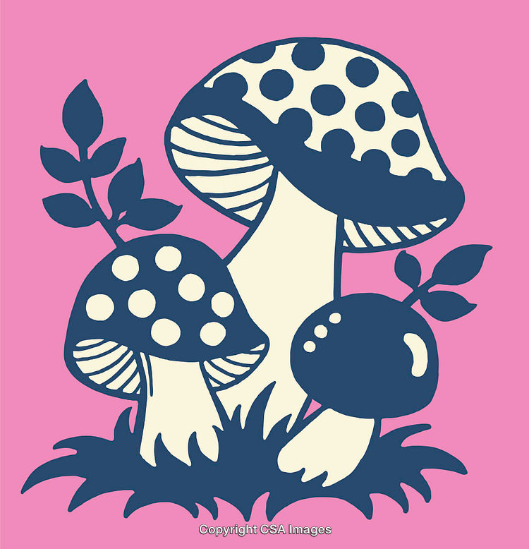 Colorful Mushroom Illustration in Black and Pink Artistic Style